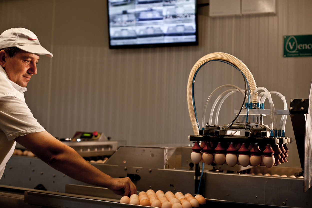 katona_tamas_fotos_mastergood_mcdonalds_ceg_portfolio_keszites_ceges_fotozas_referencia_fotok_13